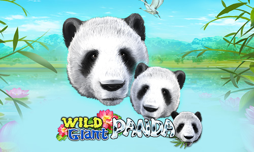 สล็อตWild Giant Panda